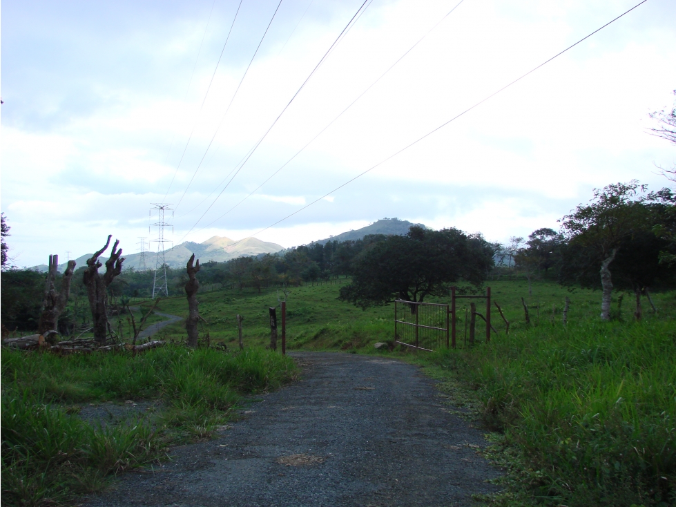 Venta de finca en Capira GTA - 2