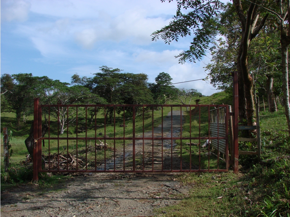 Venta de finca en Capira GTA - 3