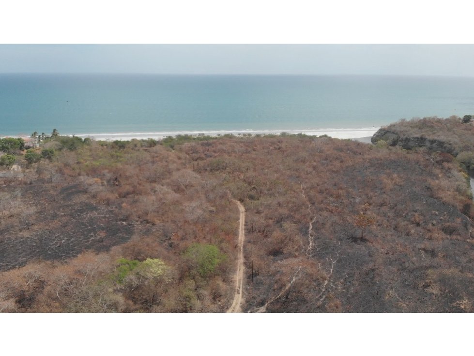 Venta de finca con frente de playa en San Carlos (El Higo) GTA - 6