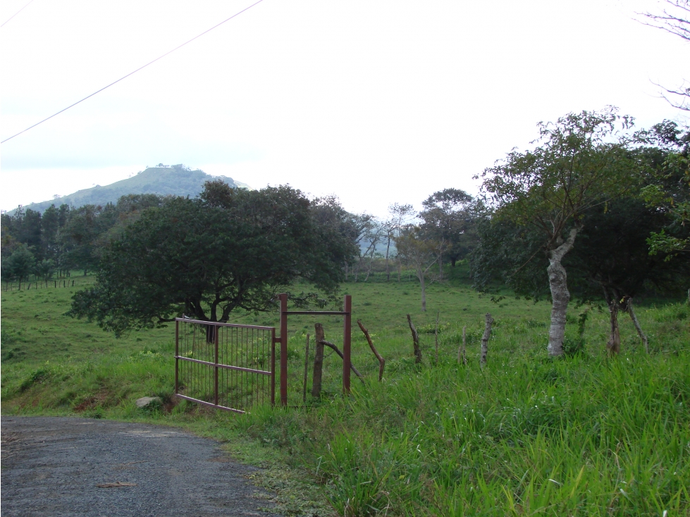 Venta de finca en Capira GTA - 6