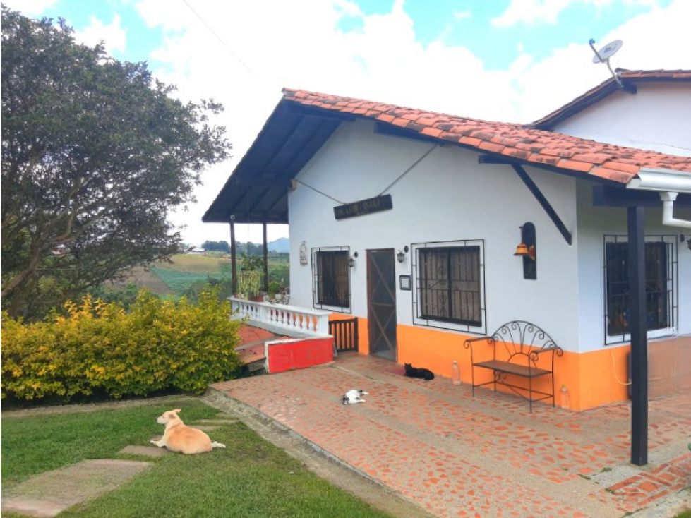 Finca para la venta en Rionegro cerca de la Autopista Medellín Bogotá — foto 5