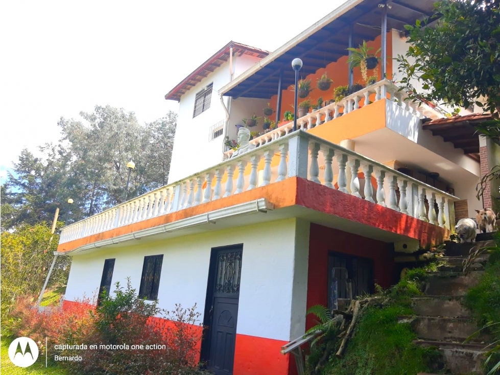 Finca para la venta en Rionegro cerca de la Autopista Medellín Bogotá — foto 6