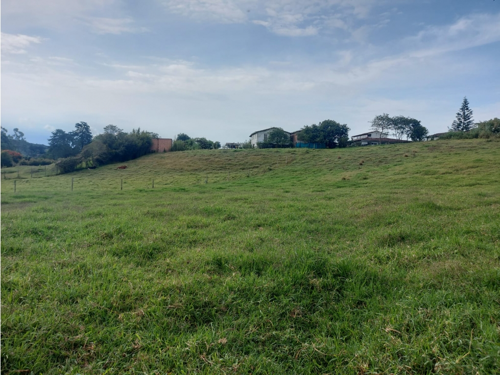 Lote para la venta vía la ceja cerca de vía principal y plano — foto 5