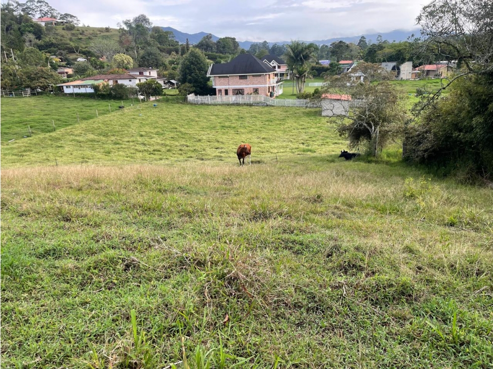 Lote para la venta vía la ceja cerca de vía principal y plano — foto 2
