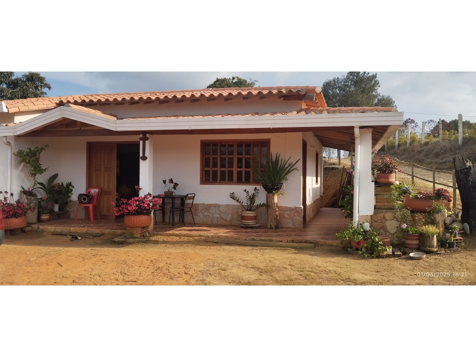 SE VENDE O SE PERMUTA PARCELA EN LA MESA DE LOS SANTOS - 1
