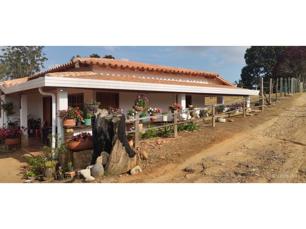 SE VENDE O SE PERMUTA PARCELA EN LA MESA DE LOS SANTOS - 2