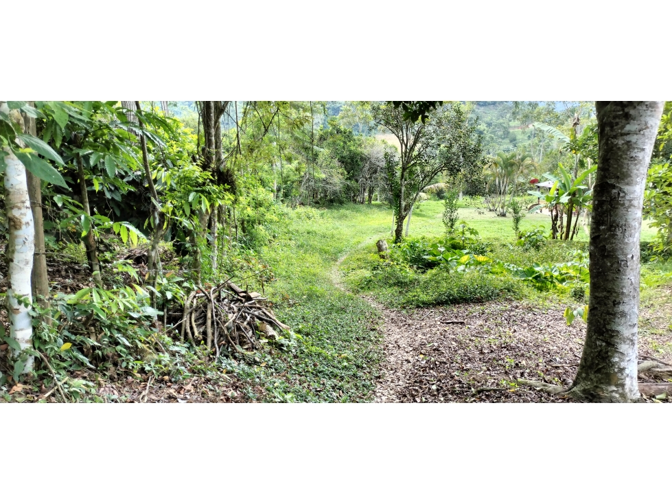 SE VENDE FINCA EN LA VEREDA LISBOA EN LEBRIJA SANTANDER - 5