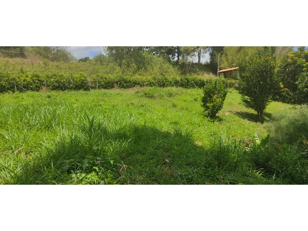 LOTE EN VENTA EN PIEDECUESTA SANTANDER. - 2