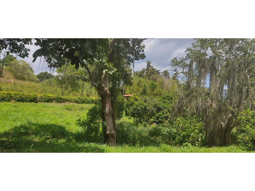 LOTE EN VENTA EN PIEDECUESTA SANTANDER. - 5