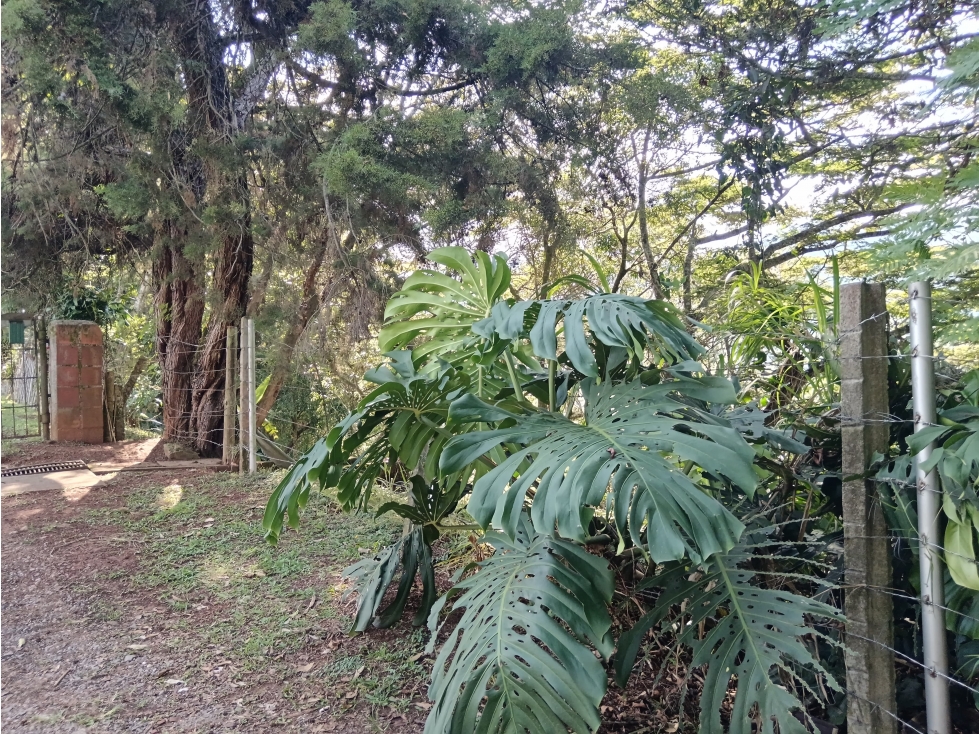 Venta Lote La Reforma - Cali — foto 2