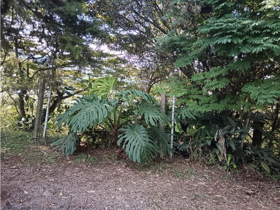 Venta Lote La Reforma - Cali — foto 3