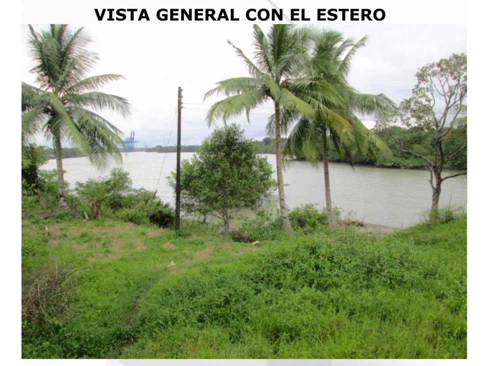 Alquiler Lote Urbano Buenaventura Valle del Cauca Colombia - 2