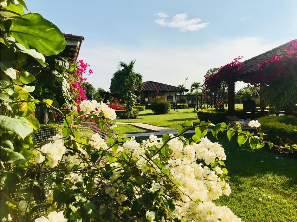 Venta finca hotel Rozo Valle del Cauca — foto 2