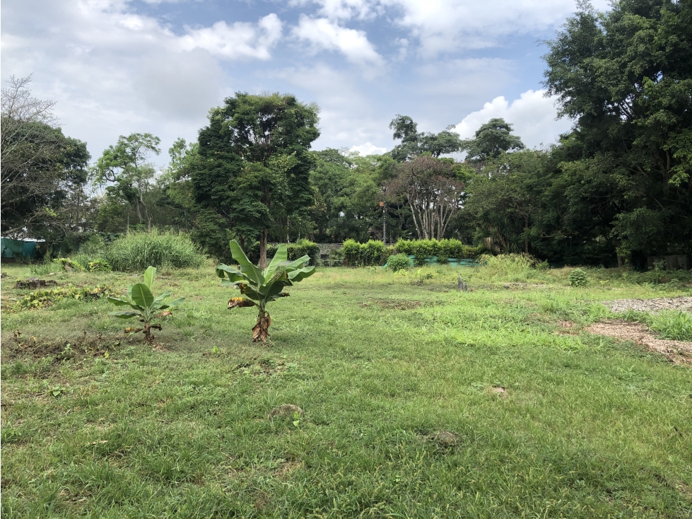 VENTA O ALQUILER LOTE EN PANCE AV LA MARIA SUR CALI