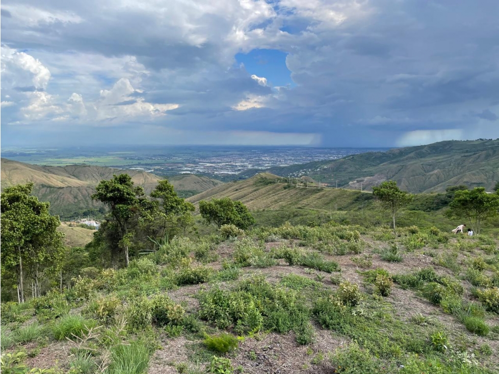 Venta lote Dapa Cali Valle del Cauca - 4