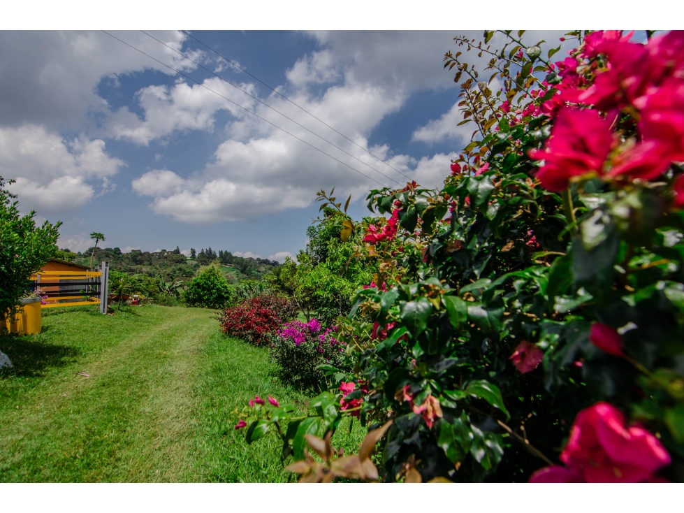 Venta Lote La cumbre-ventura - 1