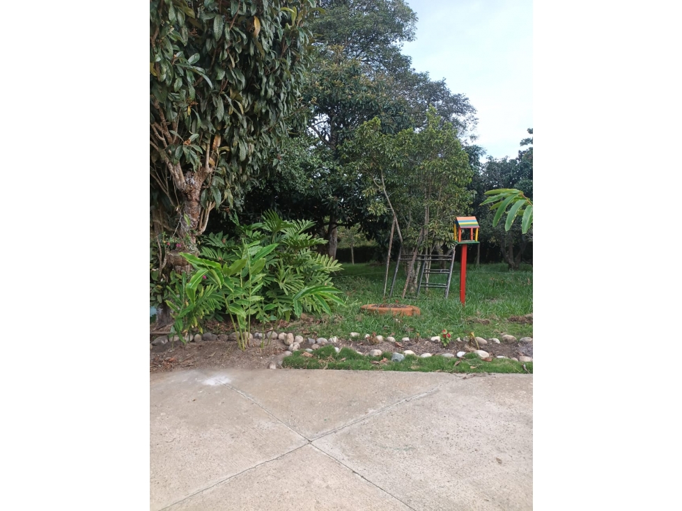 Oportunidad. Vendo hermosa Finca en La Mesa de los Santos. (Linderos) - 4