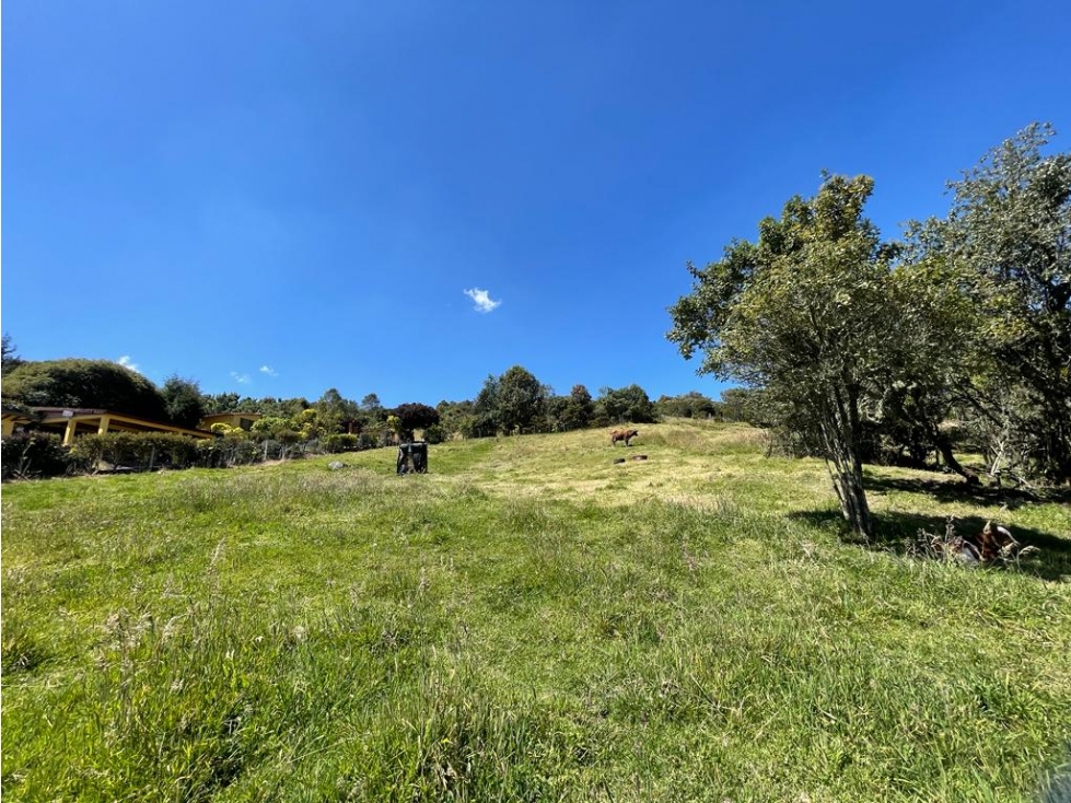 VENDO LOTE CERROS DE YERBABUENA 5.000M2 — foto 5
