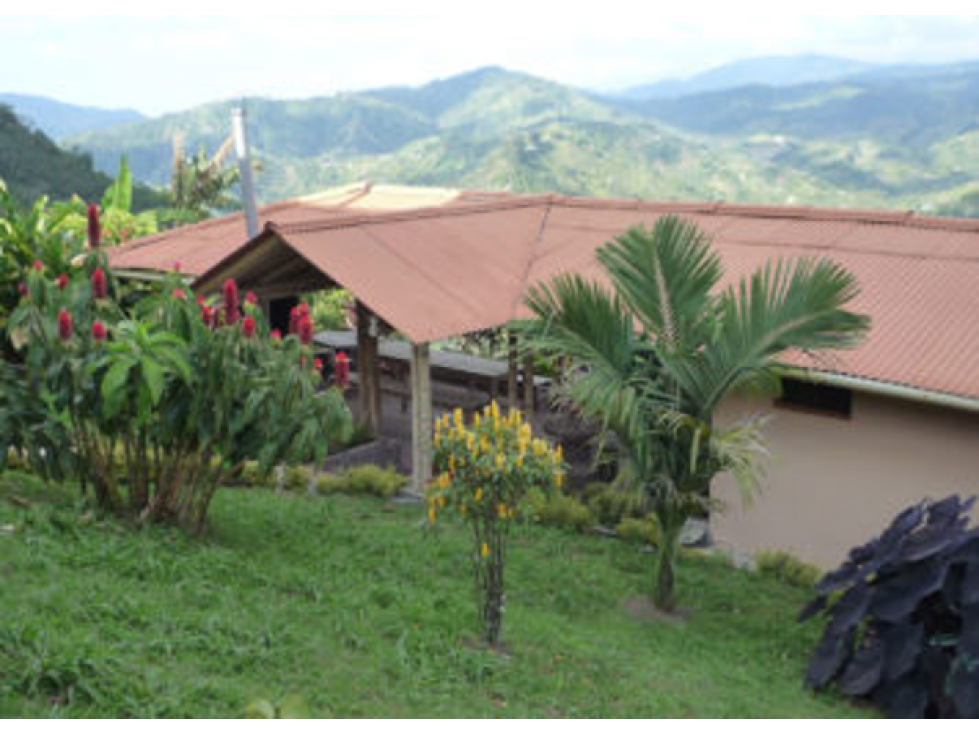 VENDO FINCA DE ALOJAMIENTO EN LA BELLA — foto 6