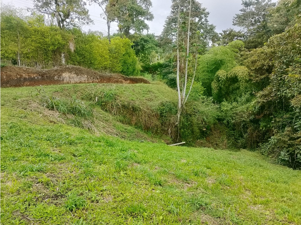 VENDO LOTE A BORDO DE CARRETERA VEREDA EL CHOCHO PEREIRA