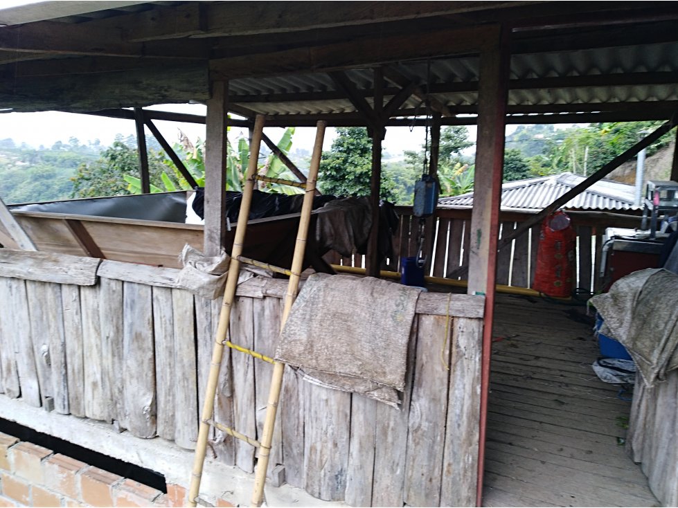 Vendo Finca Cafetera en La Bella Pereira — foto 6
