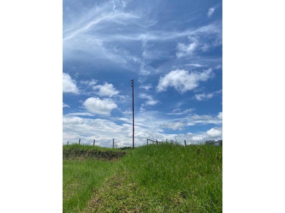 VENDO LOTE CAMPESTRE EN ALCALA VIA CARTAGO - 1