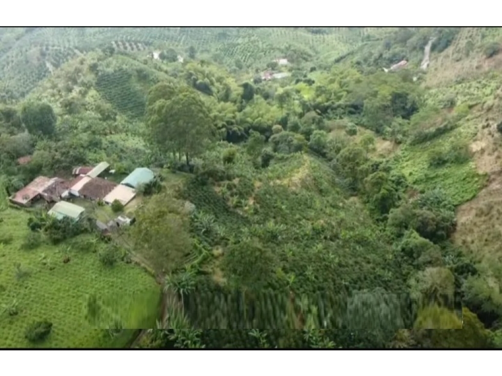 VENDO FINCA DE CULTIVO EN MARSELLA - 2