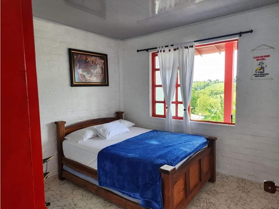VENDO FINCA EN SECTOR VÍA ALCALÁ PEREIRA — foto 5