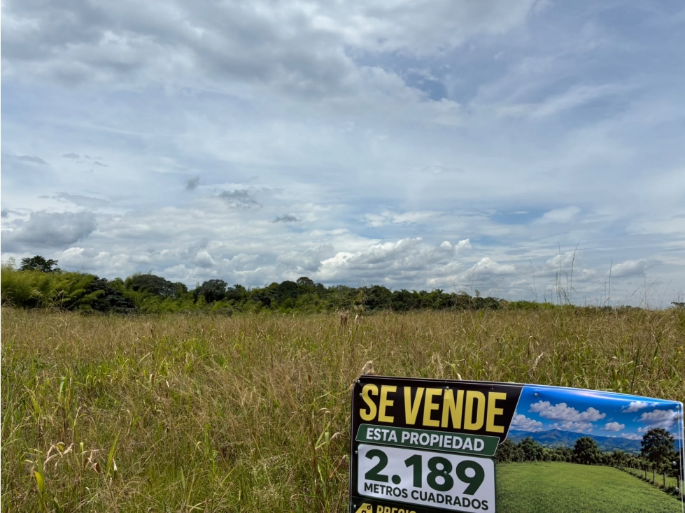 HERMOSO LOTE EN CERRITOS — foto 3