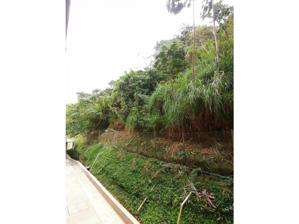 Vendo Apartamento en La Gran Reserva Guadua Pereira — foto 2