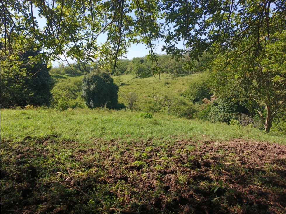 VENDO LOTE DE 45.000 MTS SOBRE LA VIA ALCALA PEREIRA