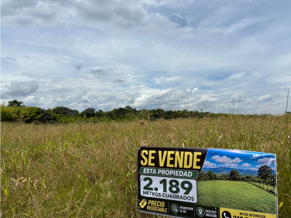 HERMOSO LOTE EN CERRITOS — foto 4