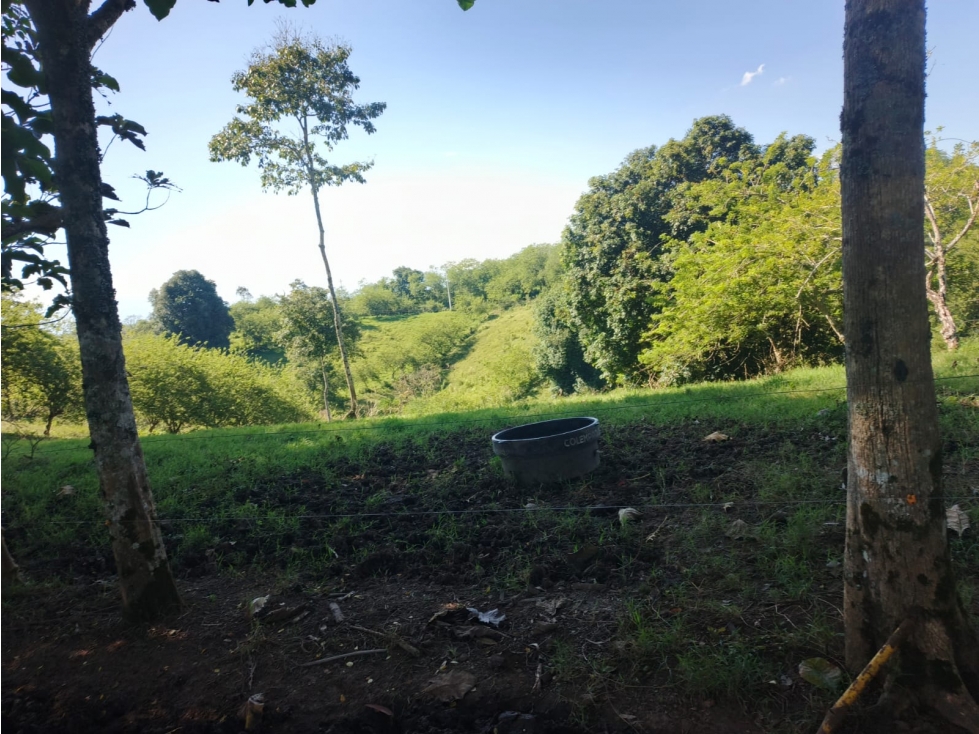 VENDO LOTE DE 45.000 MTS SOBRE LA VIA ALCALA PEREIRA — foto 2