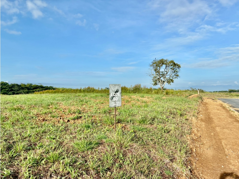 HERMOSO LOTE EN CERRITOS — foto 2