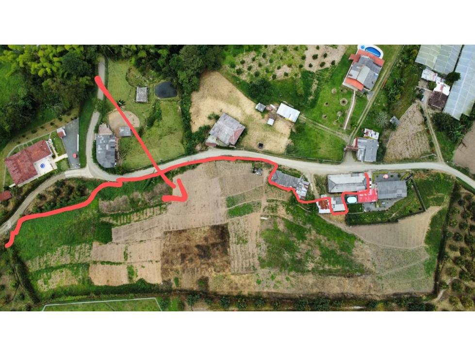 VENDO FINCA CON UN TERRENO DE 5.600MTS EN LA FLORIDA PEREIRA — foto 3
