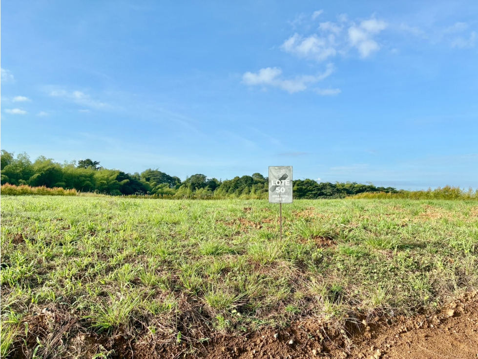 HERMOSO LOTE EN CERRITOS — foto 6