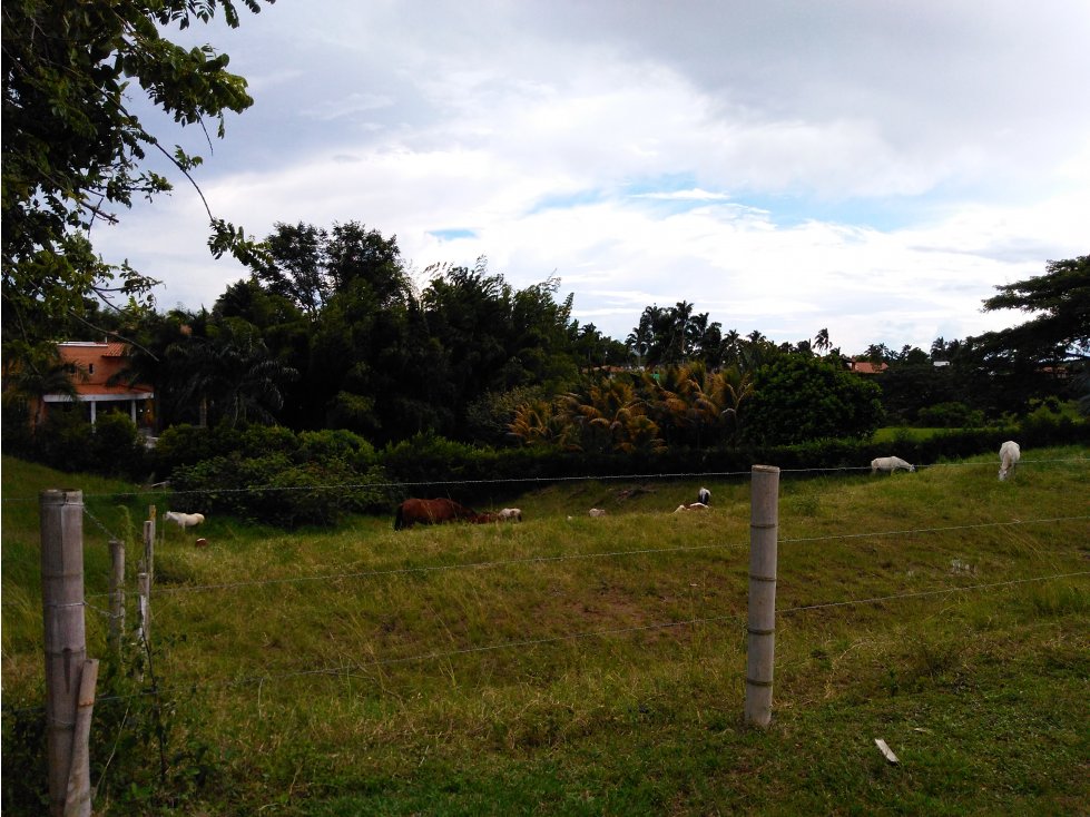 VENDO LOTE EN LA VIA CERRITOS LA VIRGINIA — foto 5