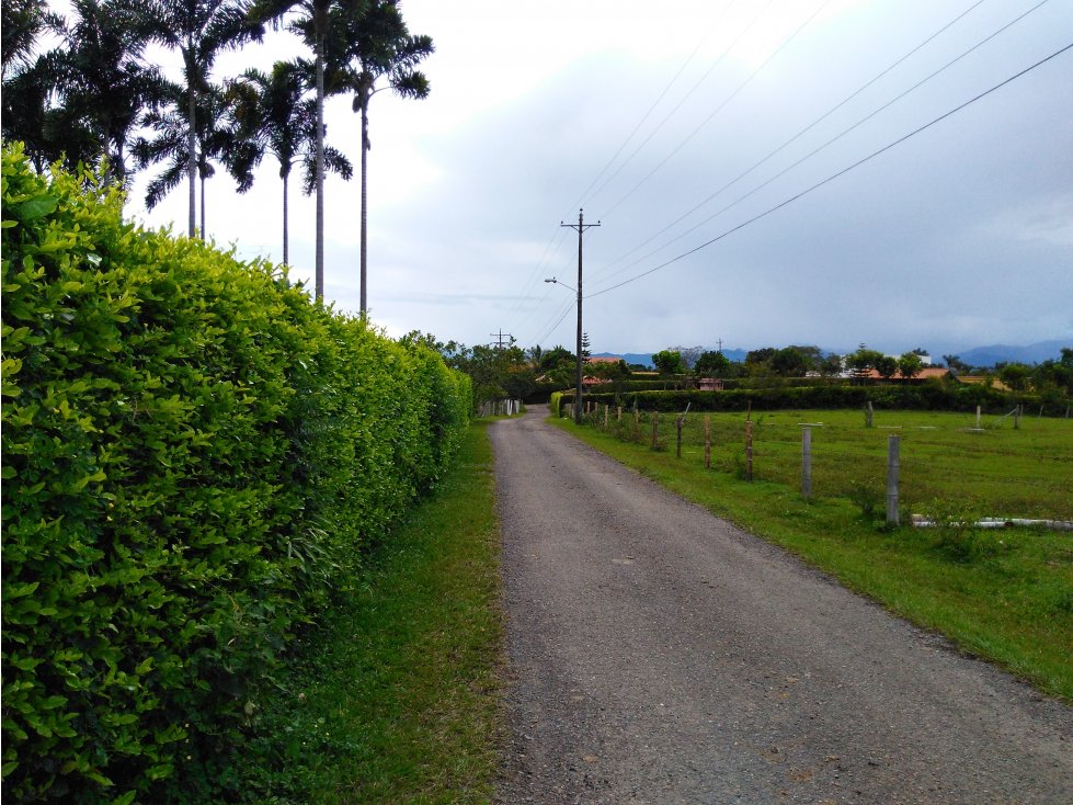 VENDO LOTE EN LA VIA CERRITOS LA VIRGINIA — foto 5