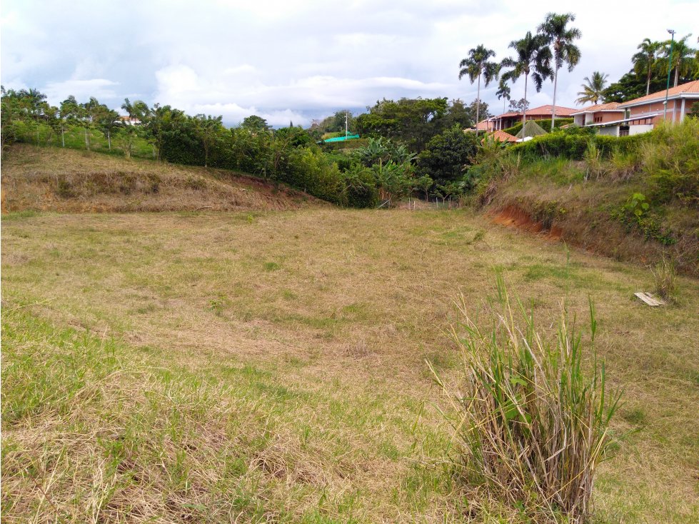 VENDO HERMOSO LOTE EN CERRITOS PEREIRA — foto 4