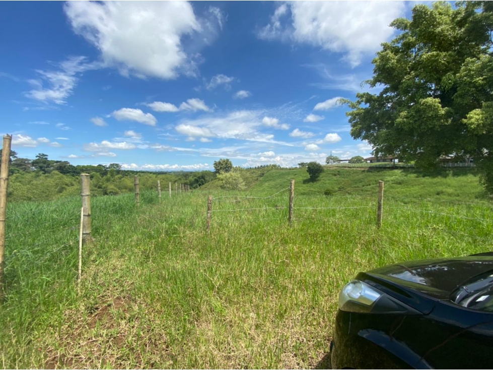 VENDO LOTE CAMPESTRE EN ALCALA VIA CARTAGO - 2