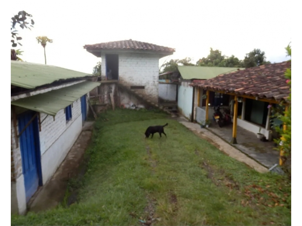 VENDO FINCA DE CULTIVO EN MARSELLA - 4