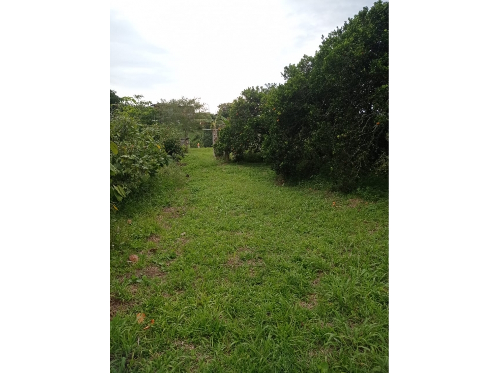 EN VENTA MAGNIFICO LOTE EN COMBIA — foto 2