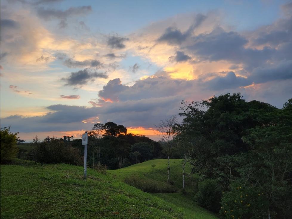 Lote en venta en Pereira Vía a Armenia — foto 3