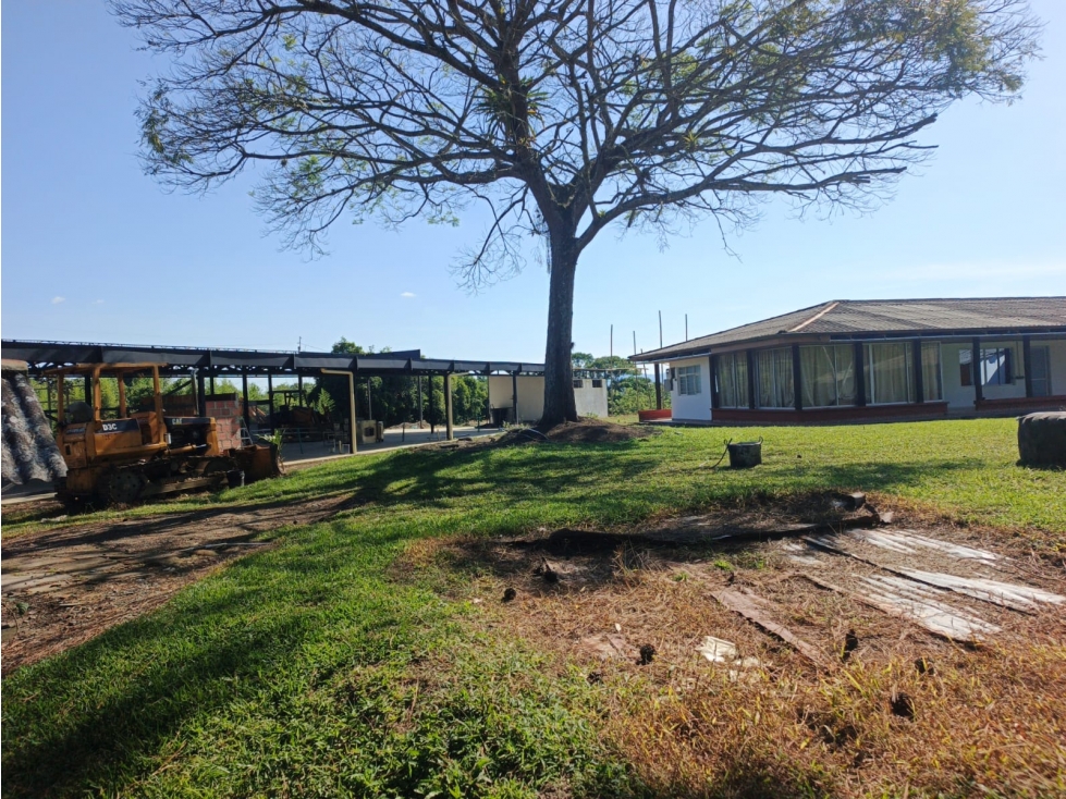 VENDO FINCA SOBRE LA VIA ALCALA PEREIRA — foto 2
