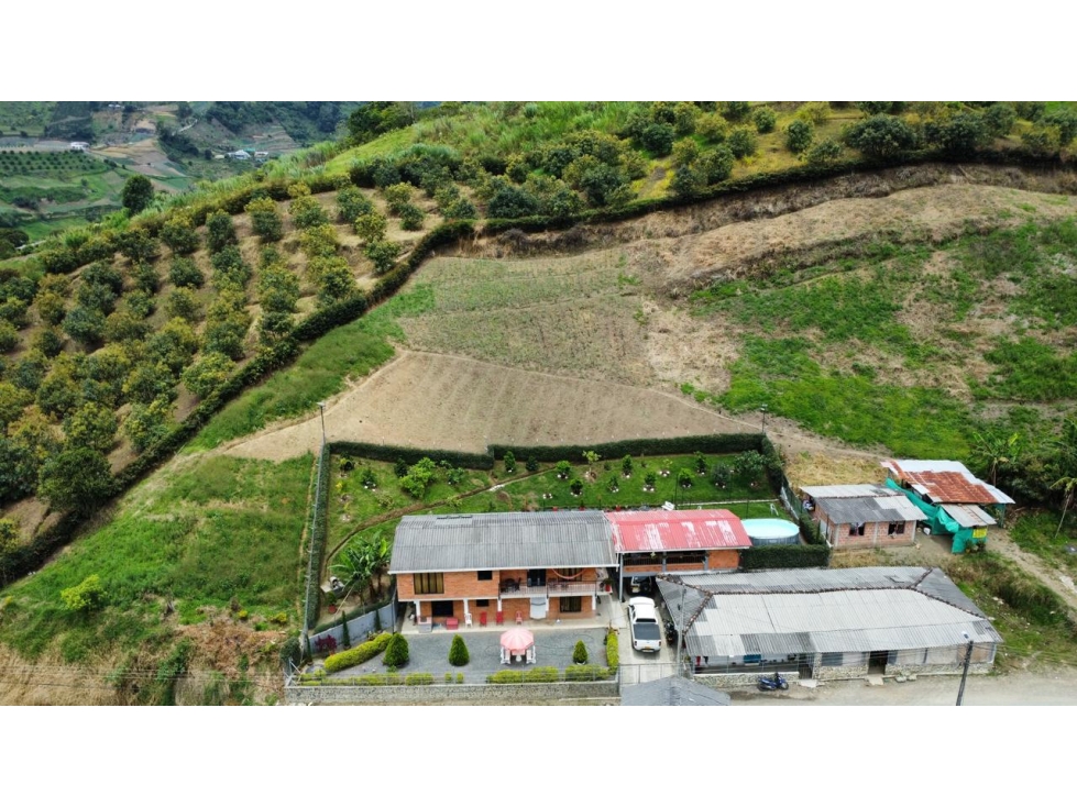 VENDO FINCA CON UN TERRENO DE 5.600MTS EN LA FLORIDA PEREIRA