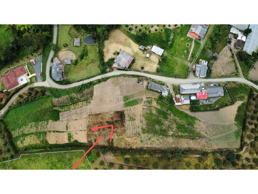 VENDO FINCA CON UN TERRENO DE 5.600MTS EN LA FLORIDA PEREIRA — foto 2
