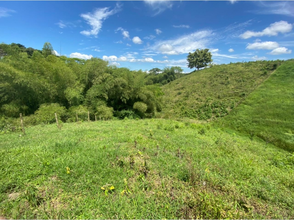 VENDO LOTE CAMPESTRE EN ALCALA VIA CARTAGO - 3