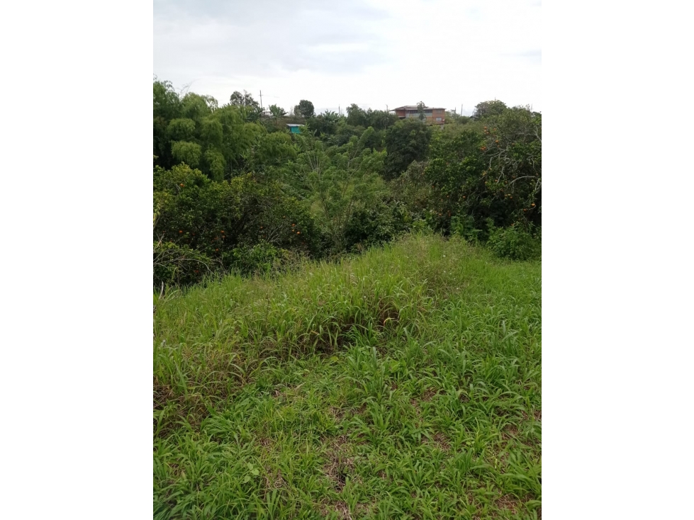 EN VENTA MAGNIFICO LOTE EN COMBIA — foto 3