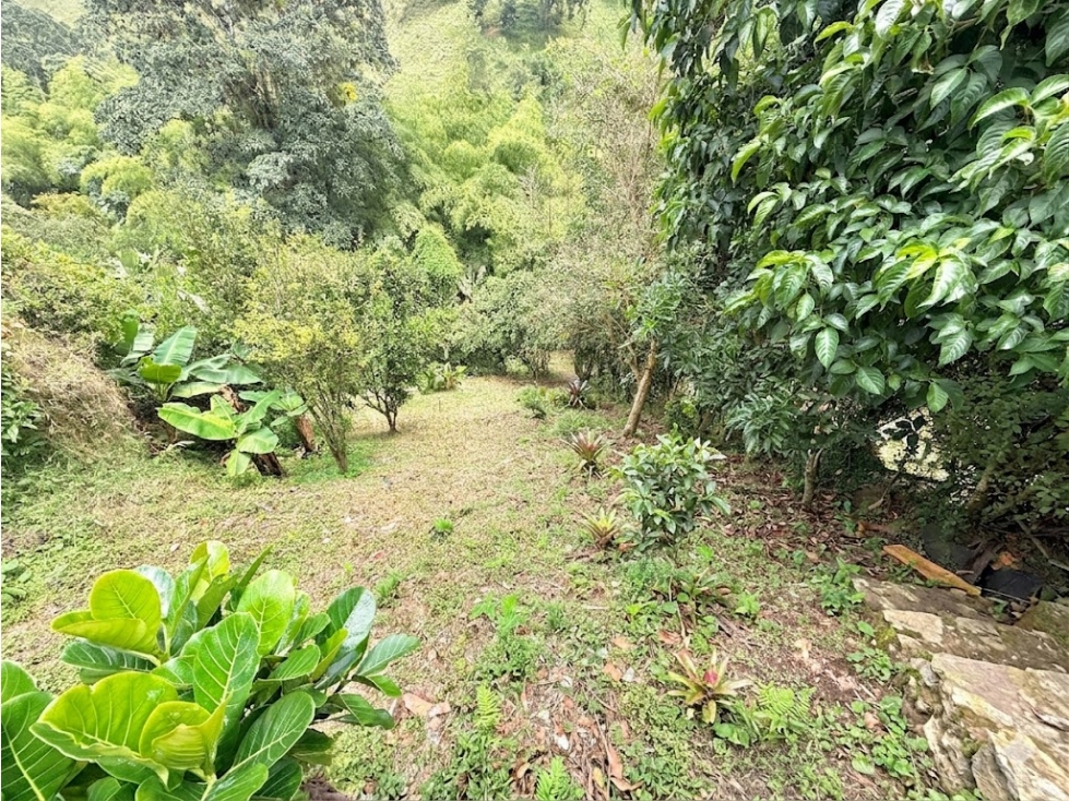 Vendo casa Caampestre vía Armenia