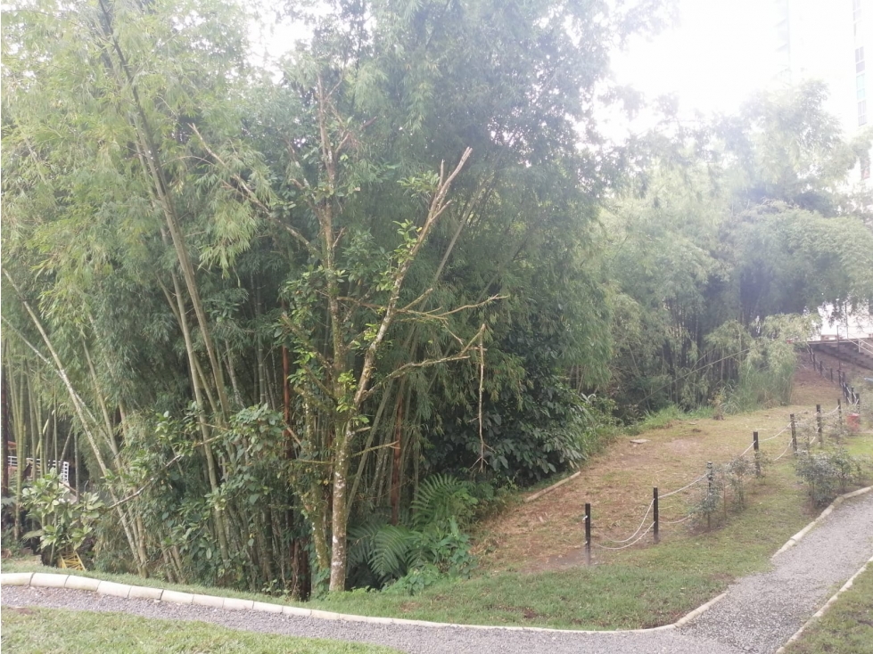 Vendo Apartamento en Terra Grata Dosquebradas — foto 4